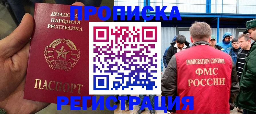 временная регистрация для школы в Мончегорске
